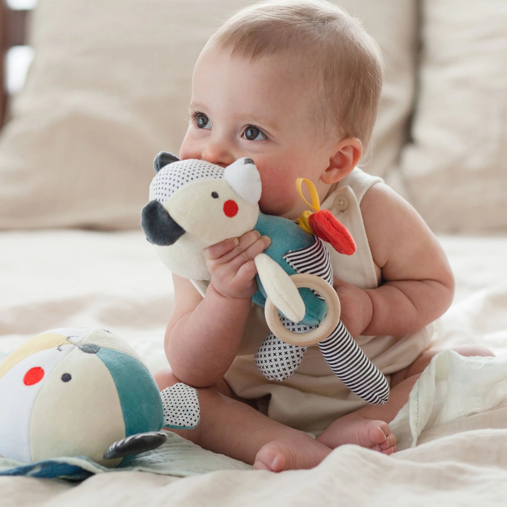Organic Busy Bear Activity Toy