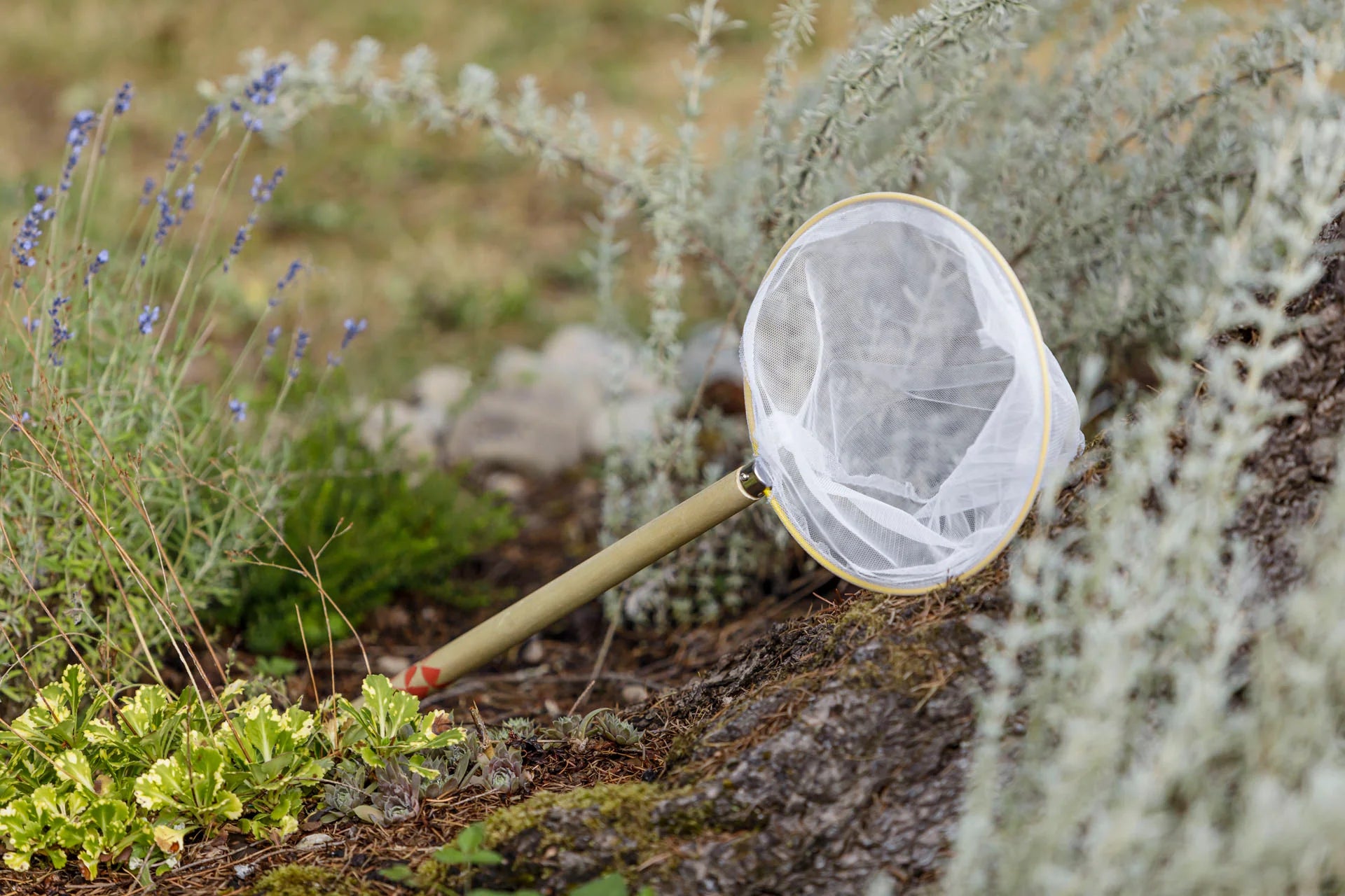 Beetle & Bee Garden Butterfly Net
