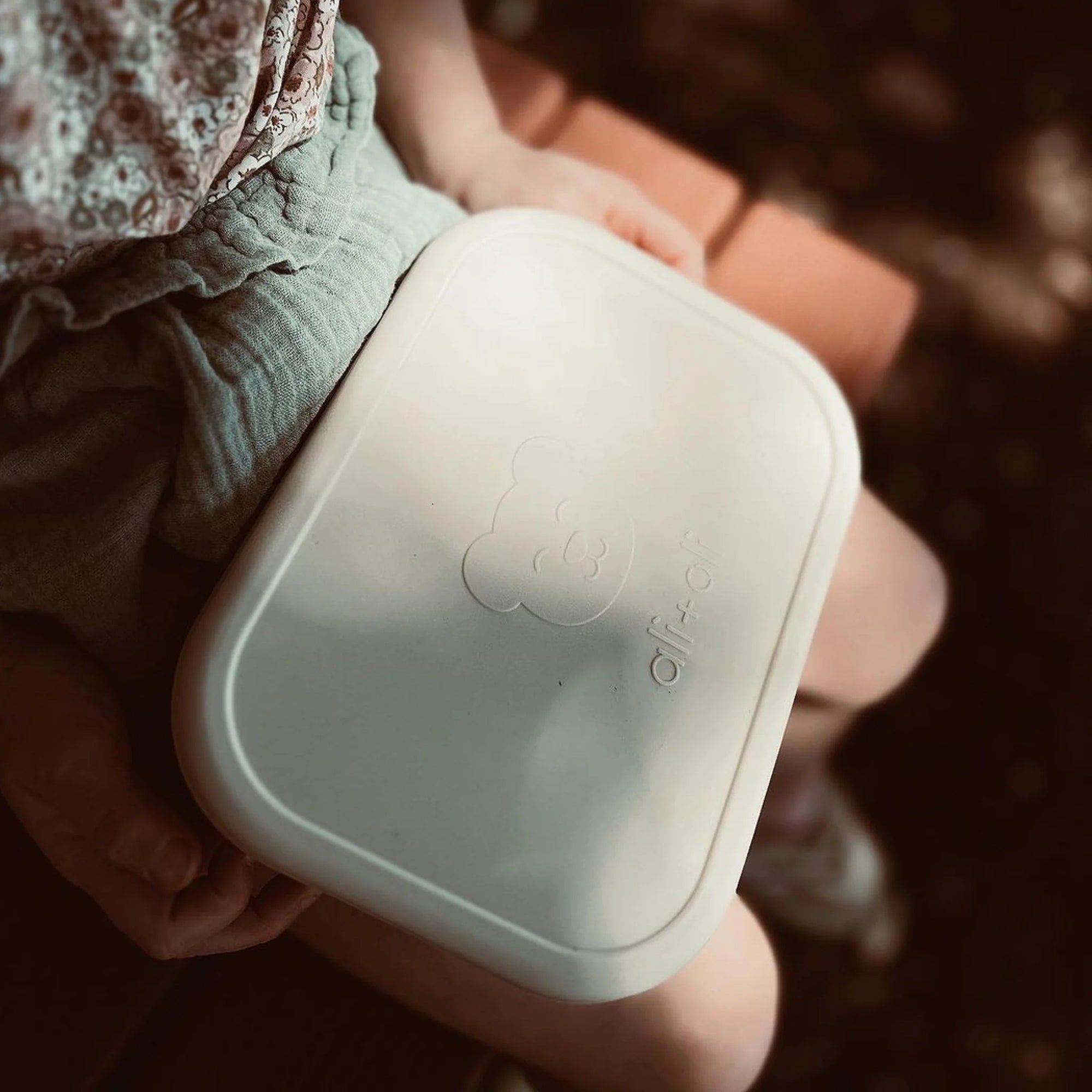 Reusable Silicone Bento Box