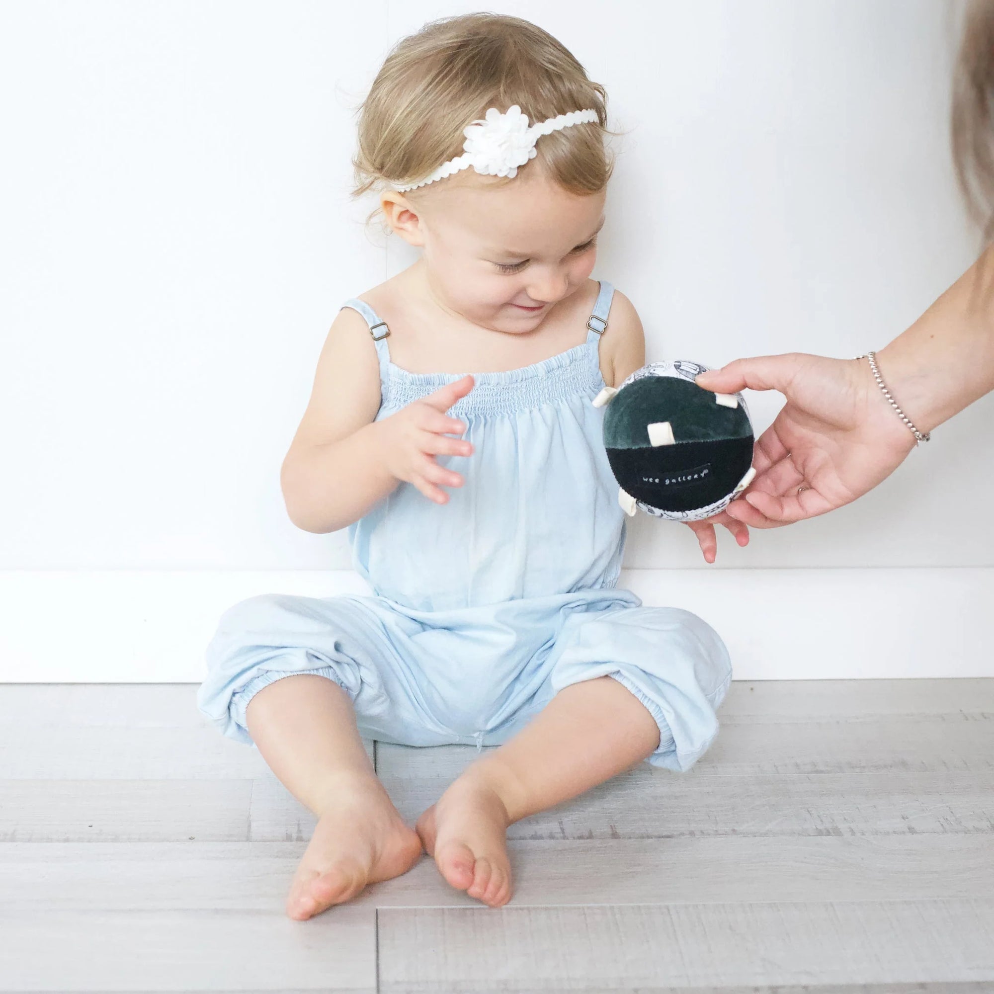 Wild Taggy Ball with Rattle