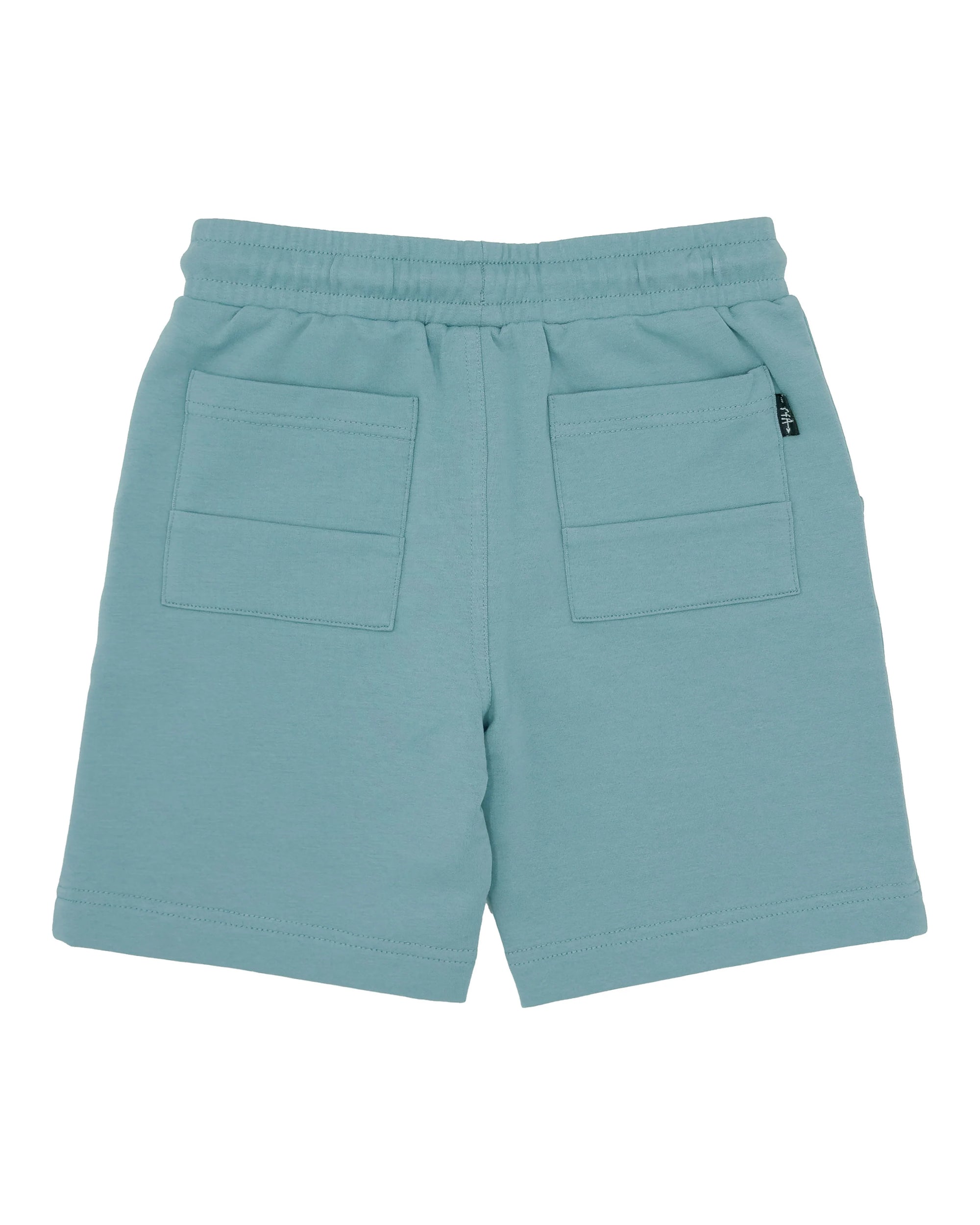 Lowtide Short in Surf Blue