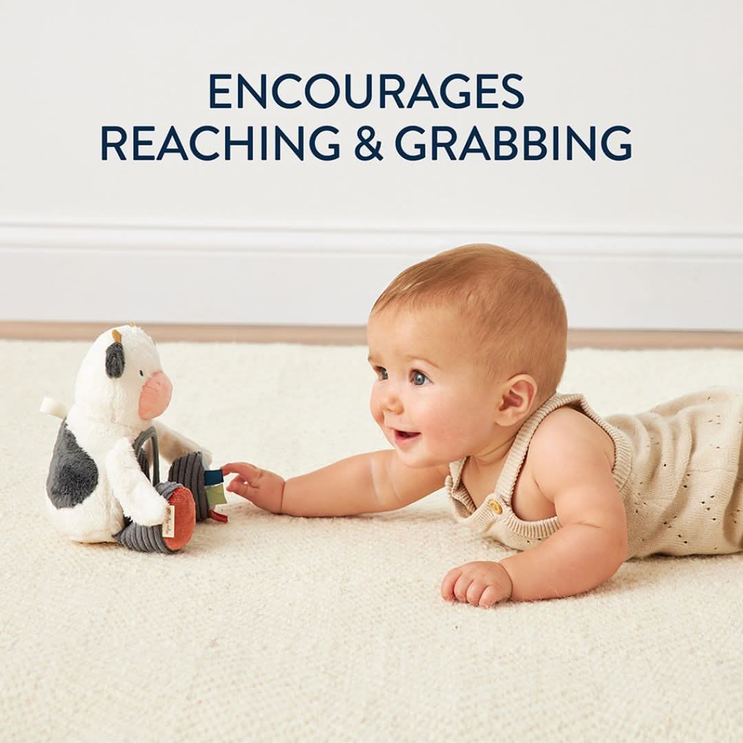 Cow Itzy Bitzy Mirror™ Sensory Tummy Time Mirror