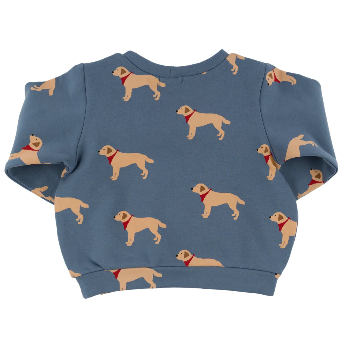 Labs Print Brooklyn Boxy Sweatshirt | Dusty Blue