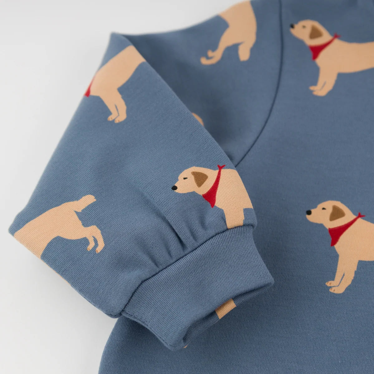 Labs Print Brooklyn Boxy Sweatshirt | Dusty Blue