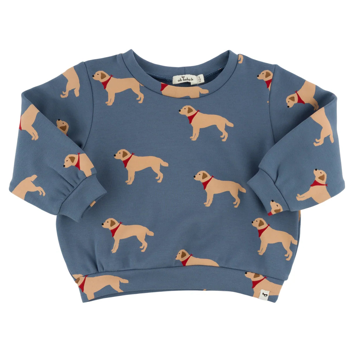 Labs Print Brooklyn Boxy Sweatshirt | Dusty Blue