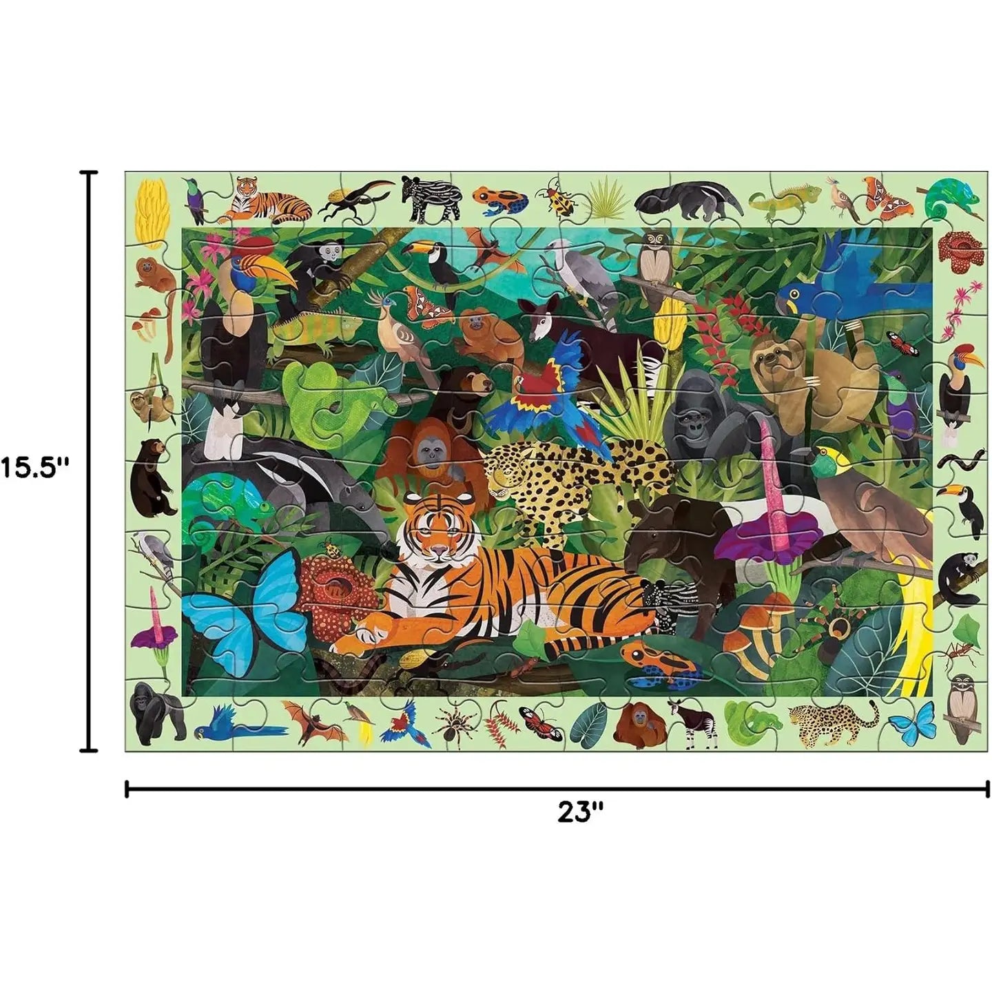 Rainforest Search & Find Puzzle