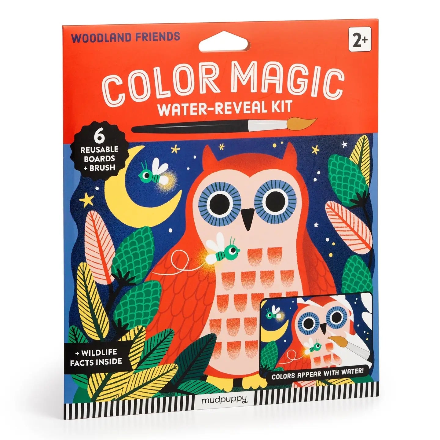 Woodland Friends Color Magic Water-Reveal Kit