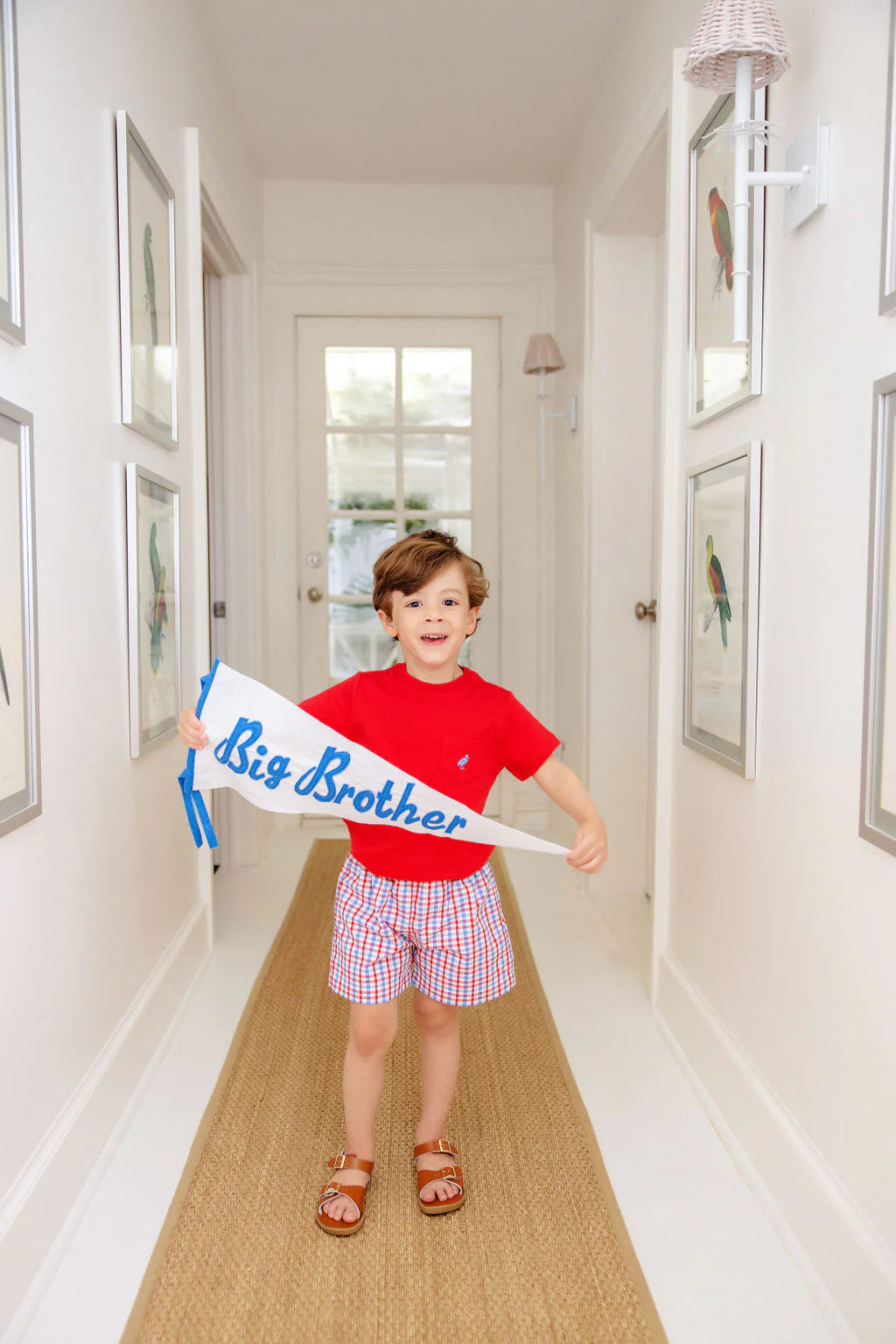 Boys & Baby Plaid Shorts