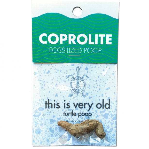 Coprolite: Fossilized Poop