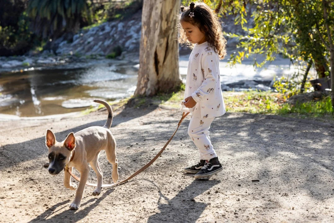 Ava Horse Hacci Set | Ivory