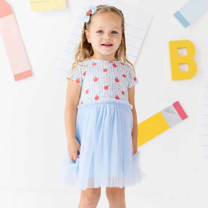 Apple Gingham Short Sleeve Tutu Dress