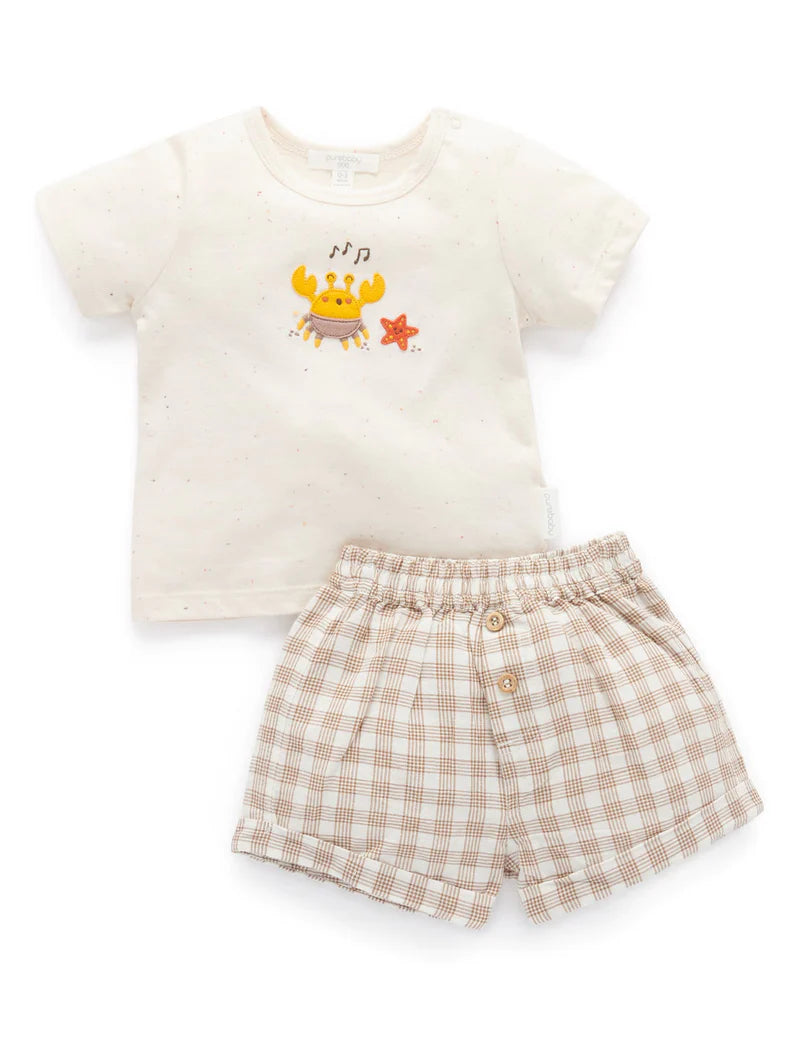 Baby Gingham Tee and Short Set
