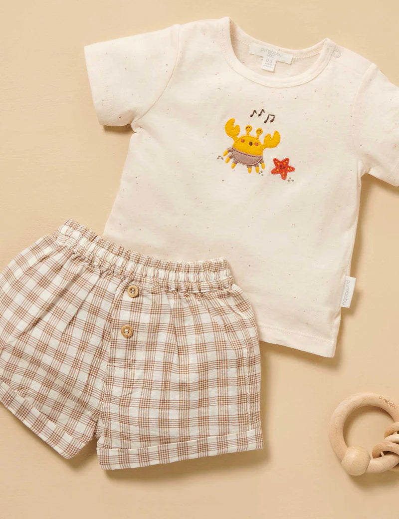 Baby Gingham Tee and Short Set