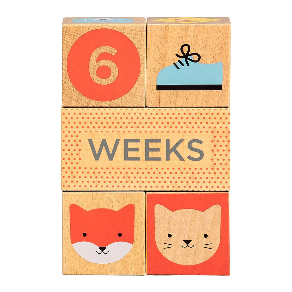 Wooden Baby Milestone Blocks