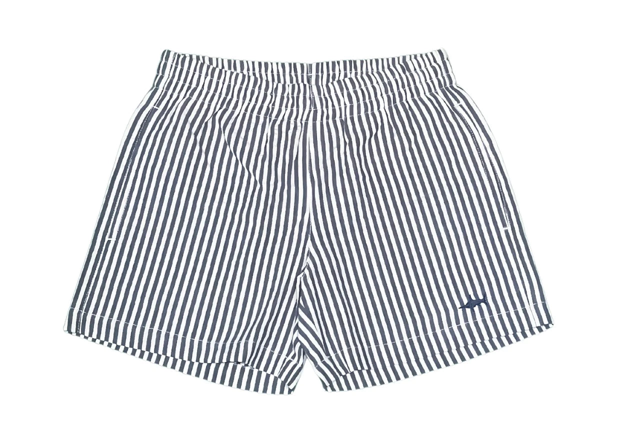Naples Shorts in Navy Seersucker