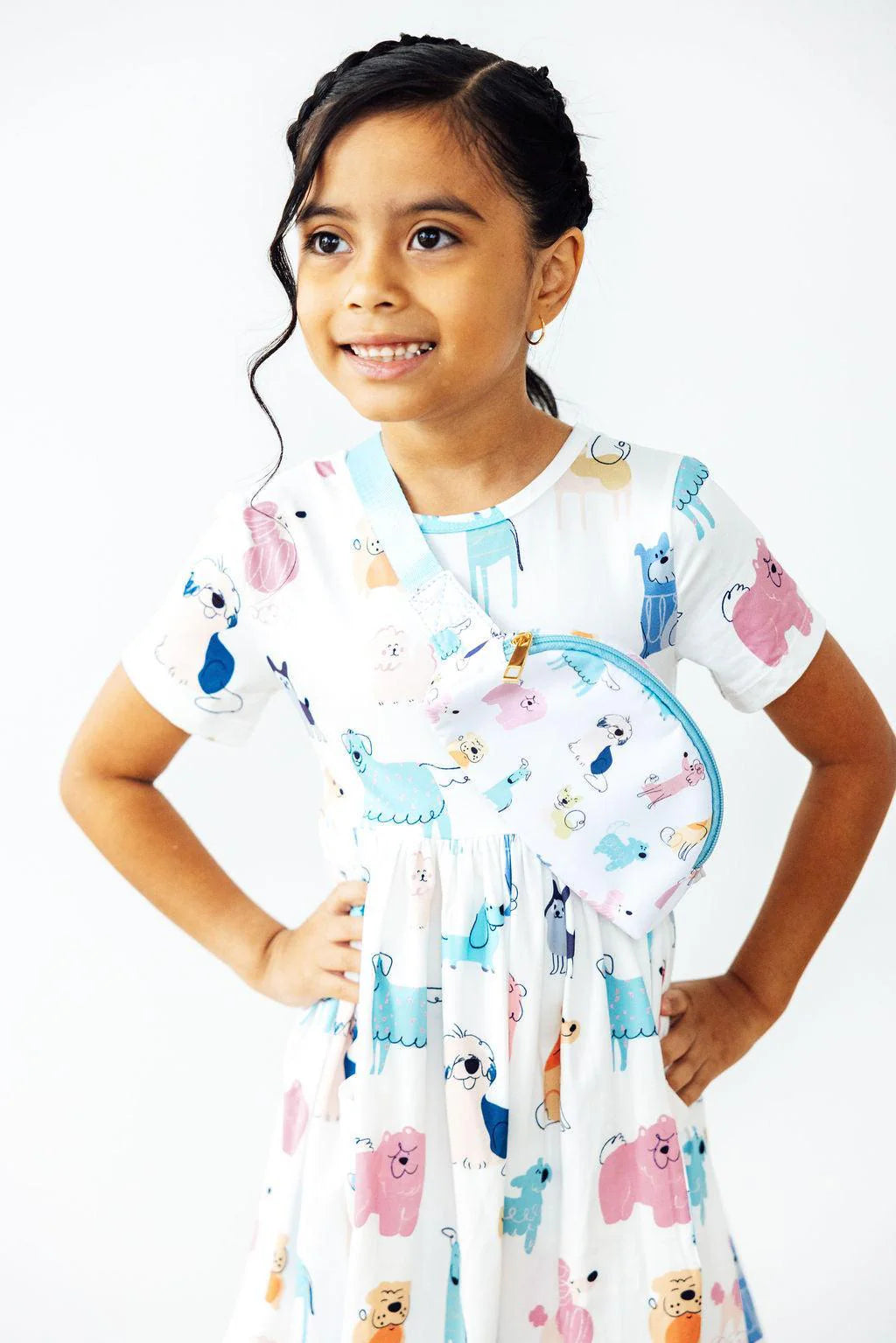 Puppy Pals Pocket Twirl Dress