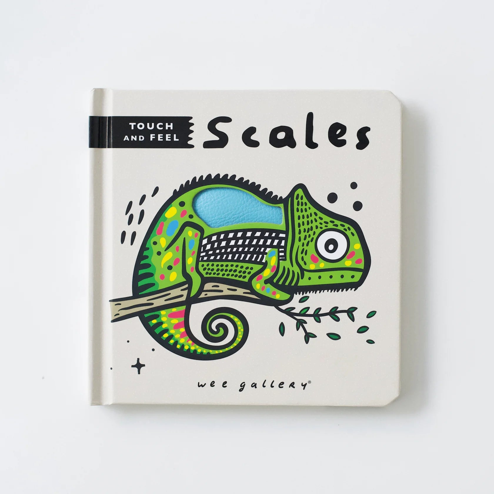 Touch and Feel: Scales