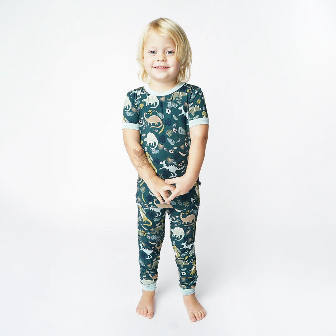 Prehistoric Friends Dinosaur Two-Piece Bamboo Kids Pajama Pants Set