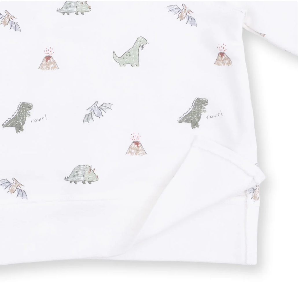 Dinos Raglan Sweatshirt