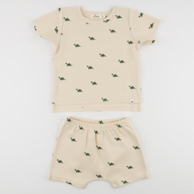 Mini Dino Raw Edge Tee Short Set