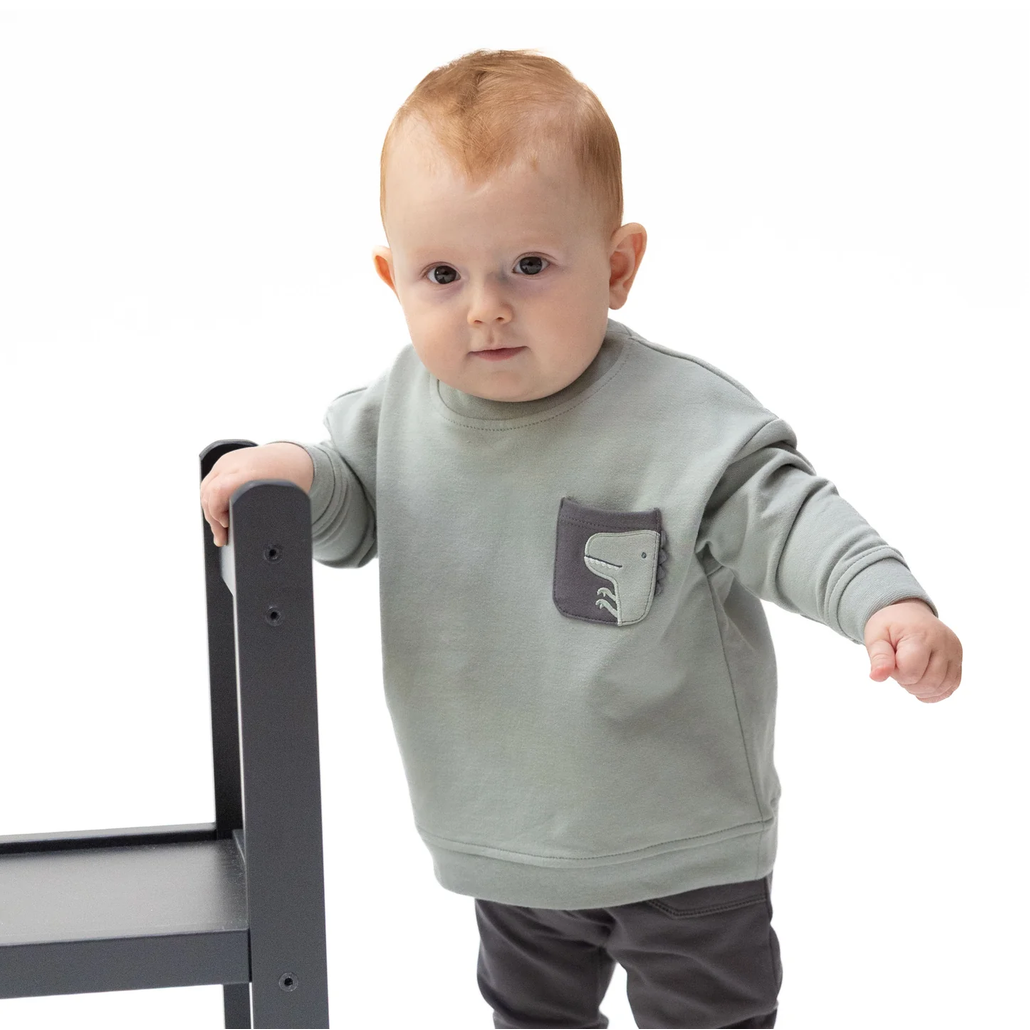 Dinos Drop Sleeve Sweatshirt