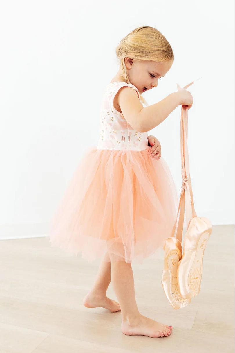 Blush Ballet Tank Tutu Dress