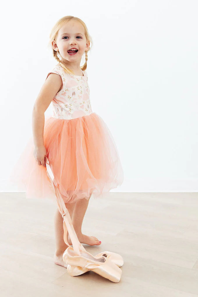 Blush Ballet Tank Tutu Dress