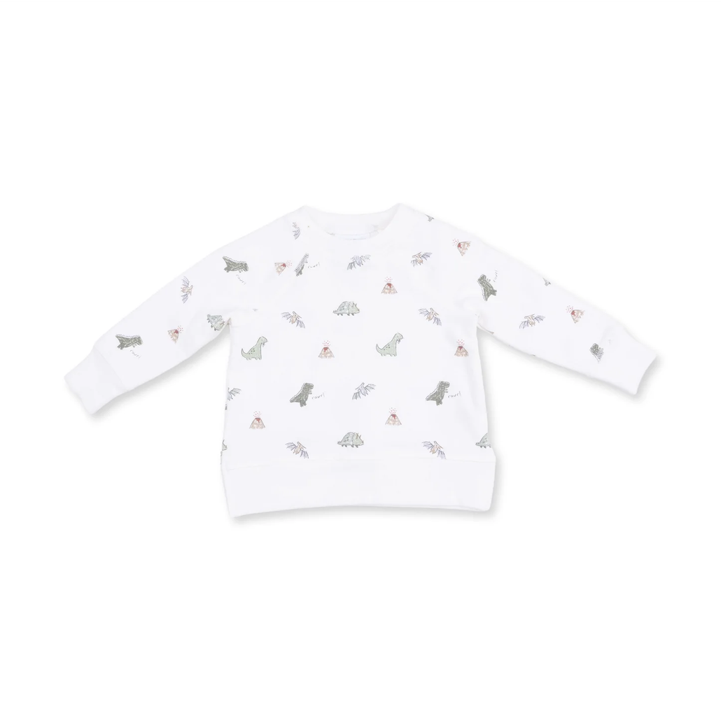 Dinos Raglan Sweatshirt