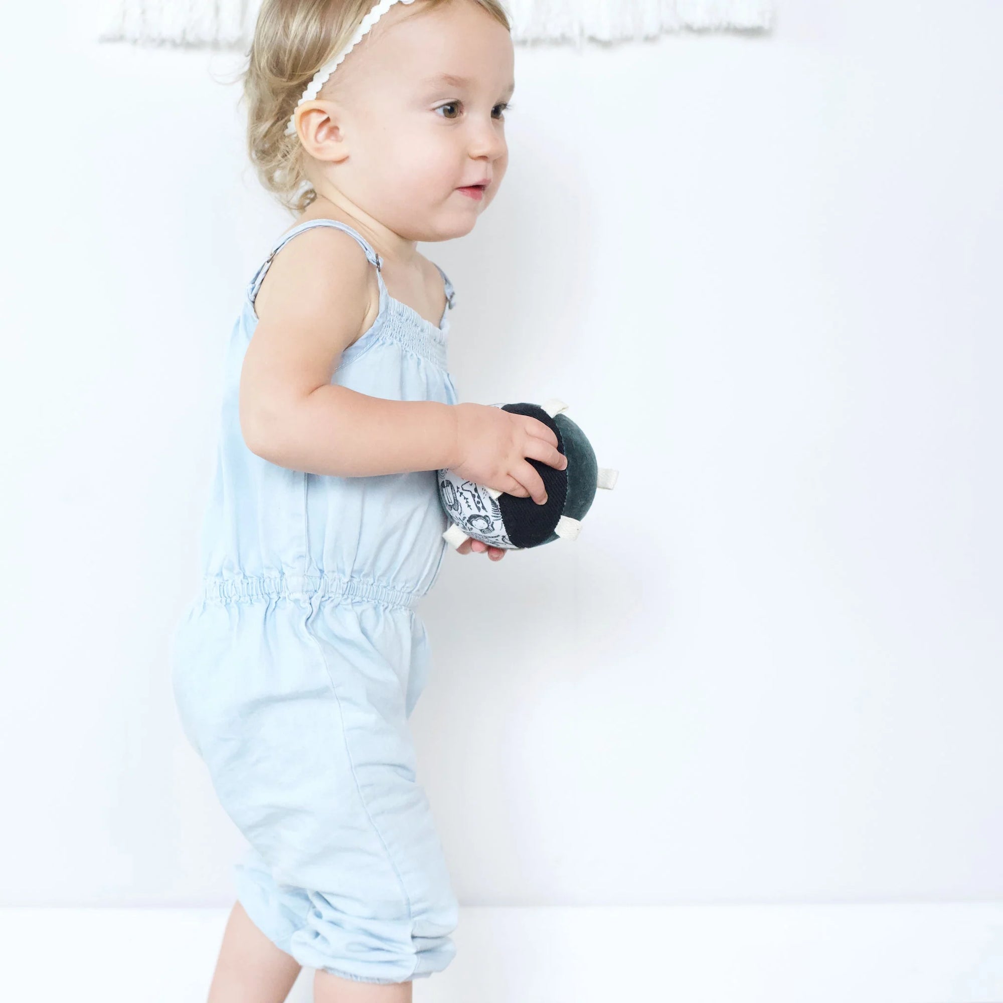 Wild Taggy Ball with Rattle