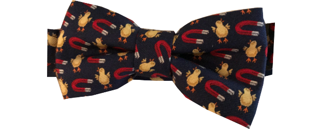 Boys' Chick Magnet Bow Tie