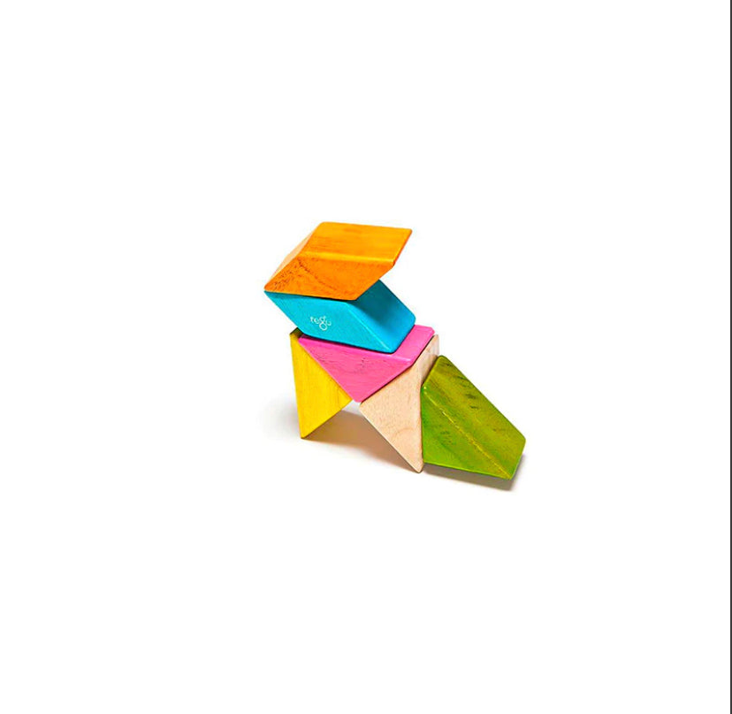 Pocket Pouch Prism  Magnetic Wooden Blocks  6 pieces