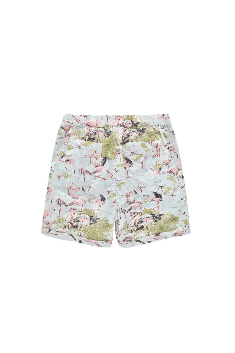 Aliki Darjeeling Flamingo Shorts